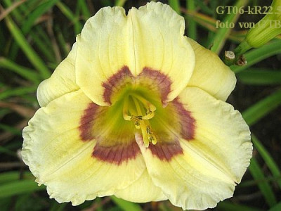 GT06-KR22.5__6882_r11.jpg