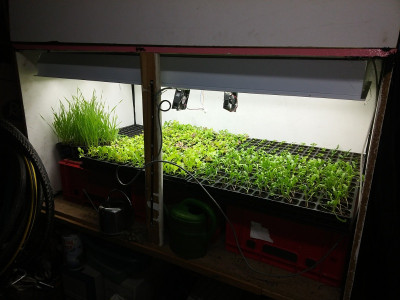 Growbox.jpg