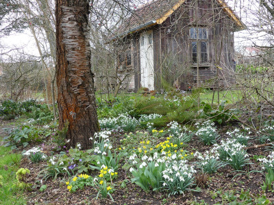 2020-02-16 Gartenimpressionen 3.jpg