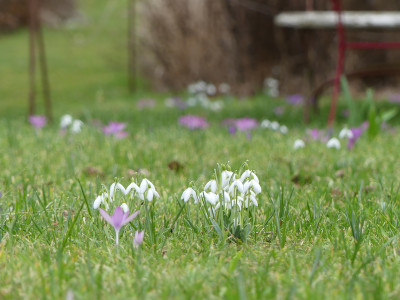 2020-02-16 Gartenimpressionen 4.jpg
