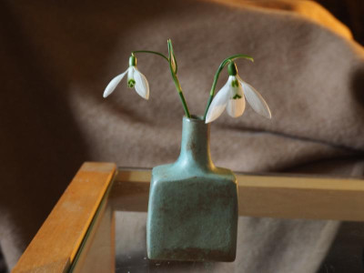 Galanthus nivalis + Galanthus elwesii Lange Nase P2090208.JPG