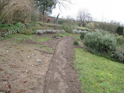 erweiterte Macchia 20200217_01.JPG