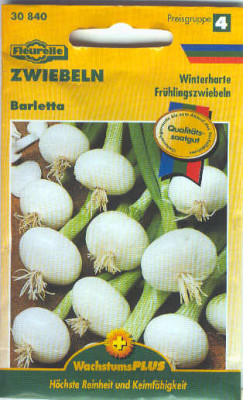 Fruhlingszwiebeln.jpg