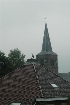 A4825_Medium.JPG
