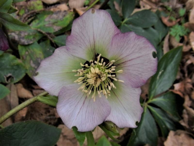 RIMG0963.JPG