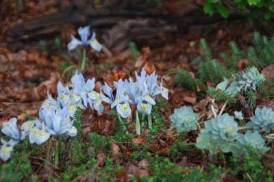 DSC_6742.JPG