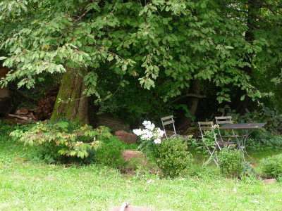 unter der Vogelkirsche DSCN8515.JPG