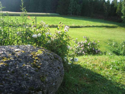 vierge001.jpg