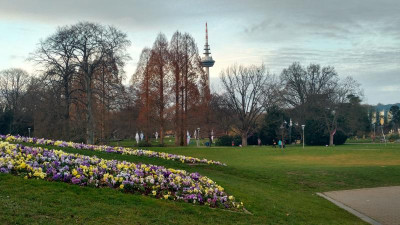 IMG_20200221_173754990_HDR.jpg