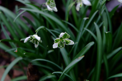 DSCF1436_4550.JPG