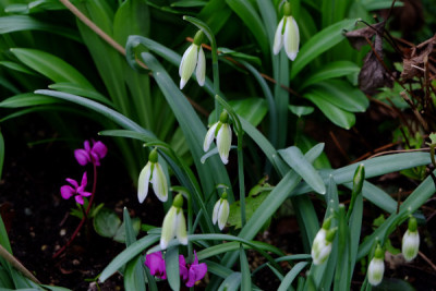 DSCF1446_4552.JPG