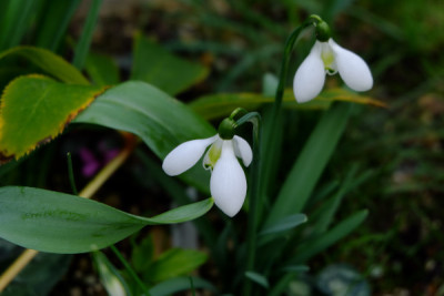 DSCF1473_4559.JPG