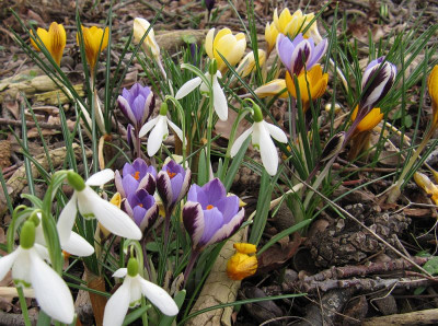 IMG_8684_Gewimmel_22Febr2020_.jpg