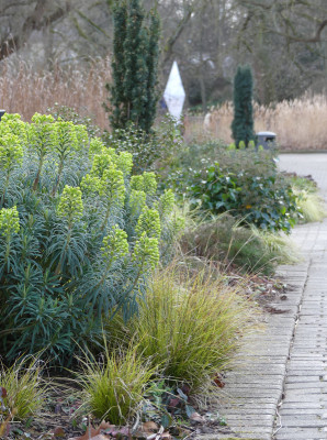2020-02-22 Luisenpark 11.jpg