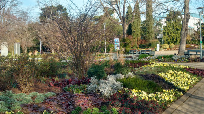 2020-02-22 Luisenpark 28.jpg
