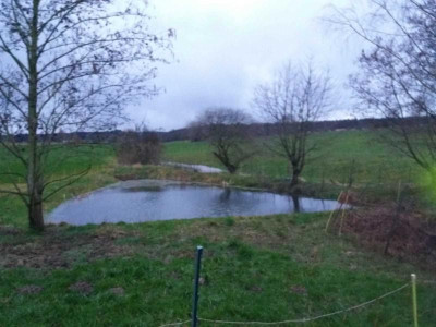 bleichehochwasser20.jpg