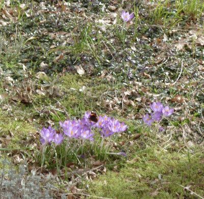 i_200222.jpg