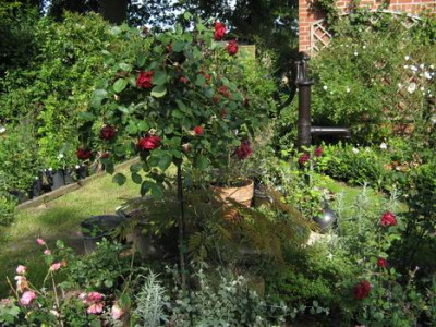 GroenanderungIMG_2225.JPG