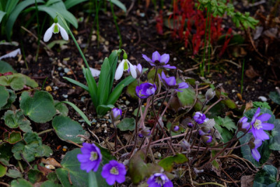 DSCF1461_4568.JPG