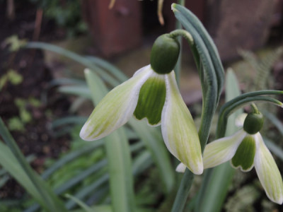DSCN3991_4573.JPG