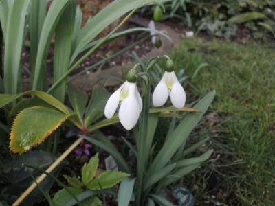 DSCN3989_4574.JPG