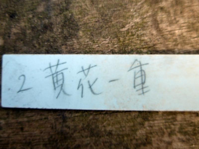 P1000744.JPG