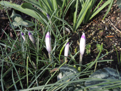 DSCN3976_4570.JPG