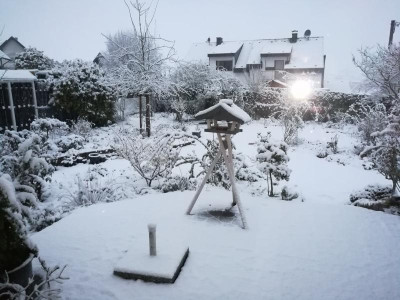 Schnee.20-1.jpg