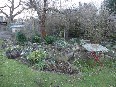 2020-02-28 Garteneinblick 4.jpg