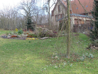 2020-02-28 Garteneinblick 5.jpg