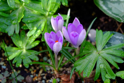 DSCF1525_4577.JPG