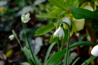 DSCF1555_4590.JPG