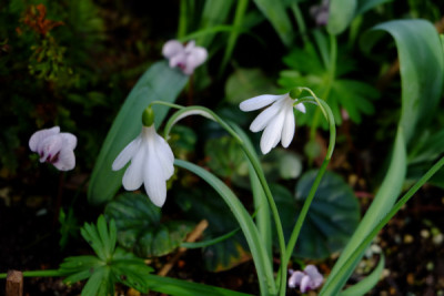 DSCF1587_4598.JPG