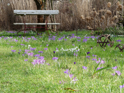 2020-02-29 Gartenimpressionen 2.jpg