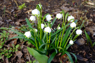 DSCF1526_4578.JPG
