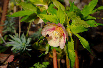 DSCF1563_4594.JPG