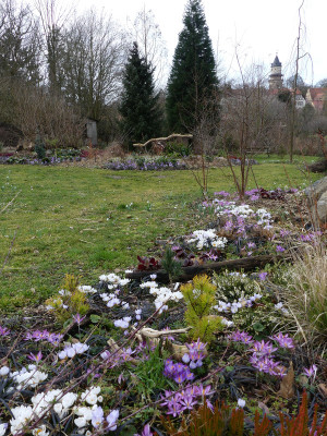 2020-03-01 Gartenimpressionen 1.jpg