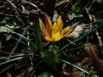 P1040555.JPG