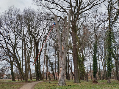 UebigSchl2020_03_01_08.jpg