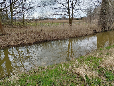 UebigSchl2020_03_01_10.jpg
