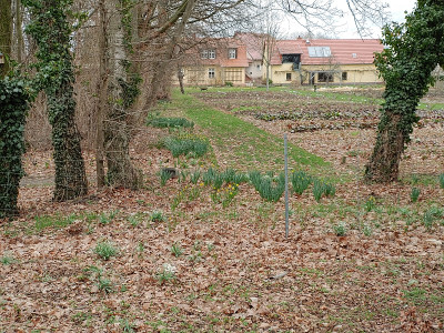 UebigSchl2020_03_01_13.jpg