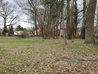 UebigSchl2020_03_01_14.jpg