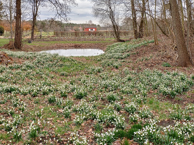 UebigSchl2020_03_01_16.jpg