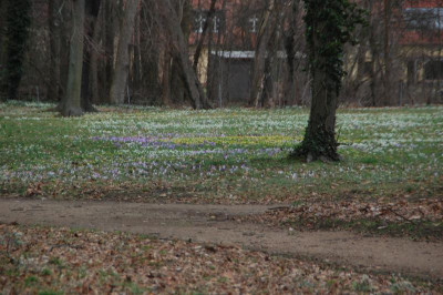 DSC_6790.JPG