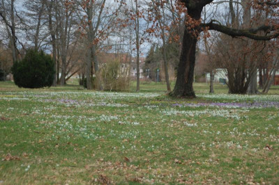DSC_6791.JPG