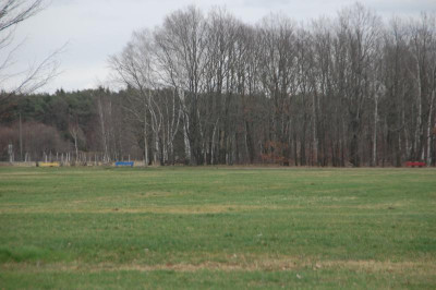 DSC_6796.JPG