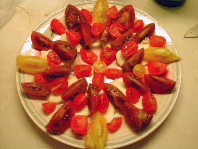 Tomatenmozarellateller.jpg