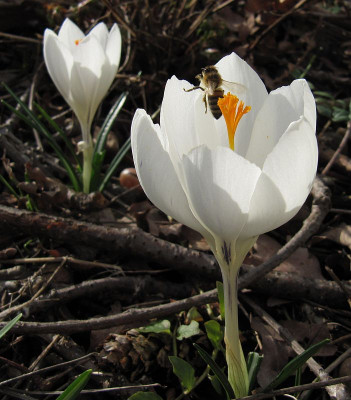 IMG_8846_29Febr2020_.jpg