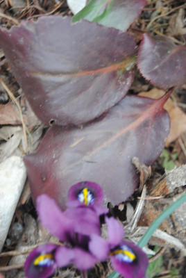 025.JPG