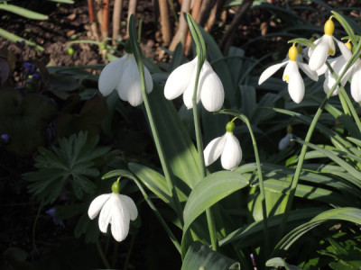 DSCN4002_4602.JPG
